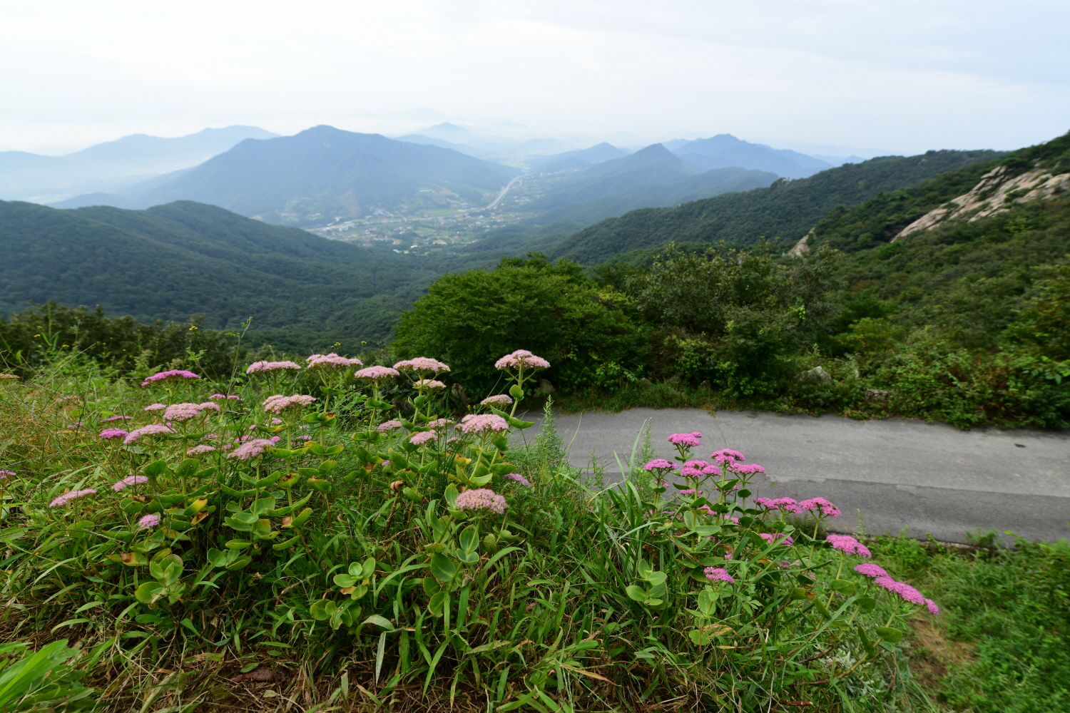 크기변환_DSC_5080.JPG