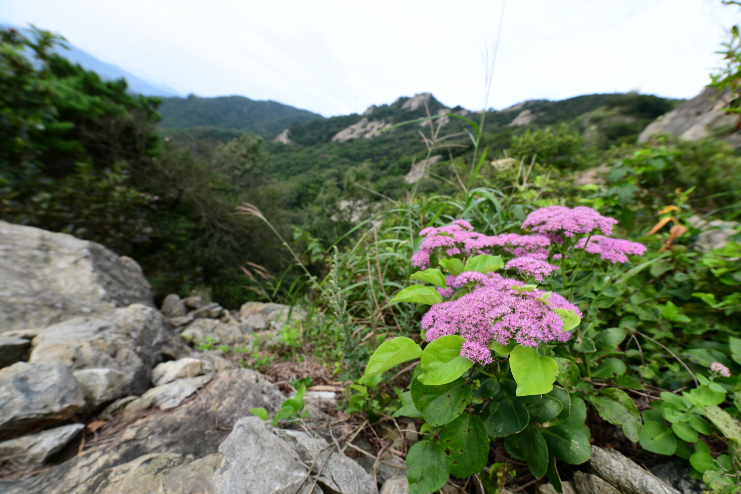 크기변환_DSC_5195.JPG