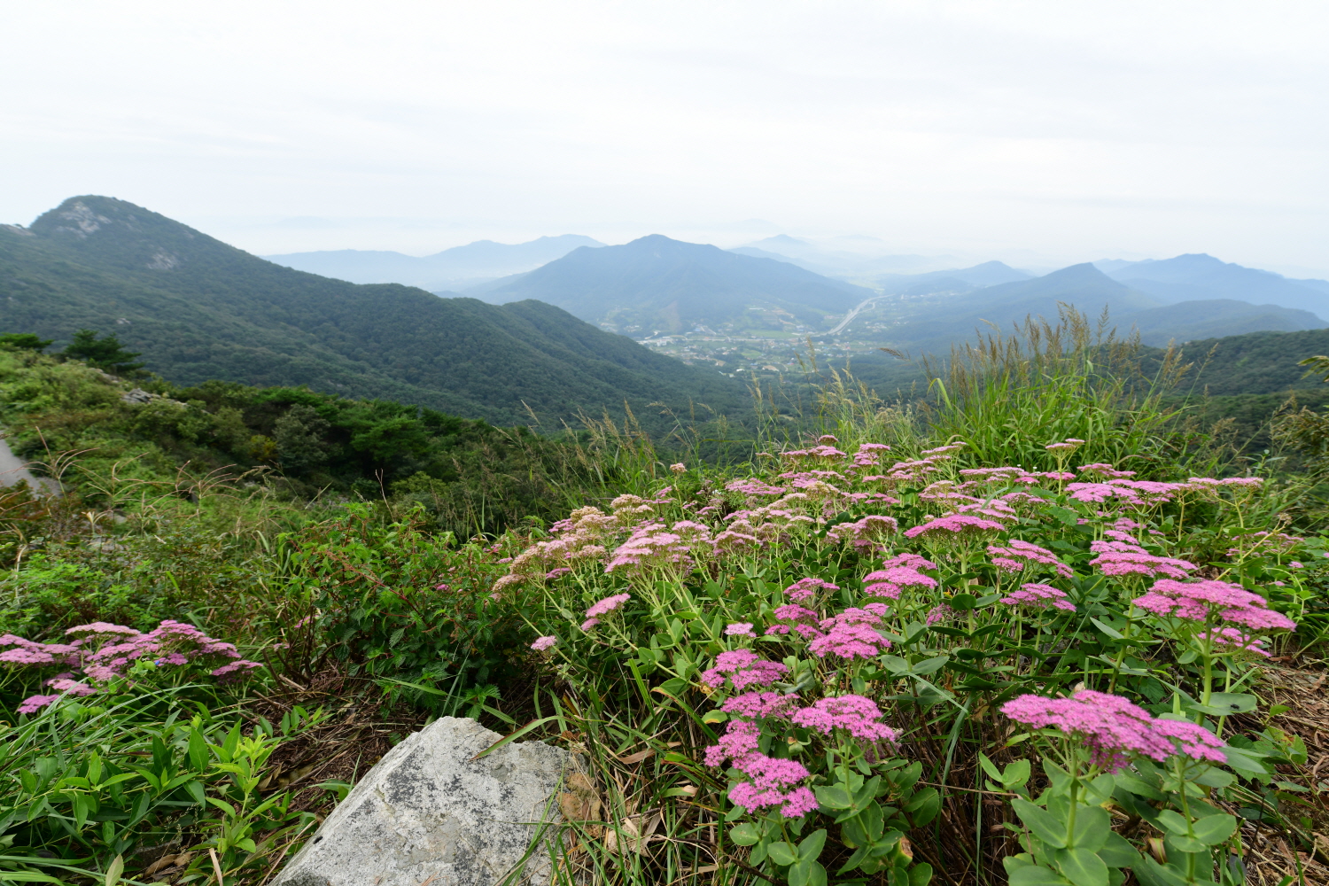 크기변환_DSC_5002.JPG