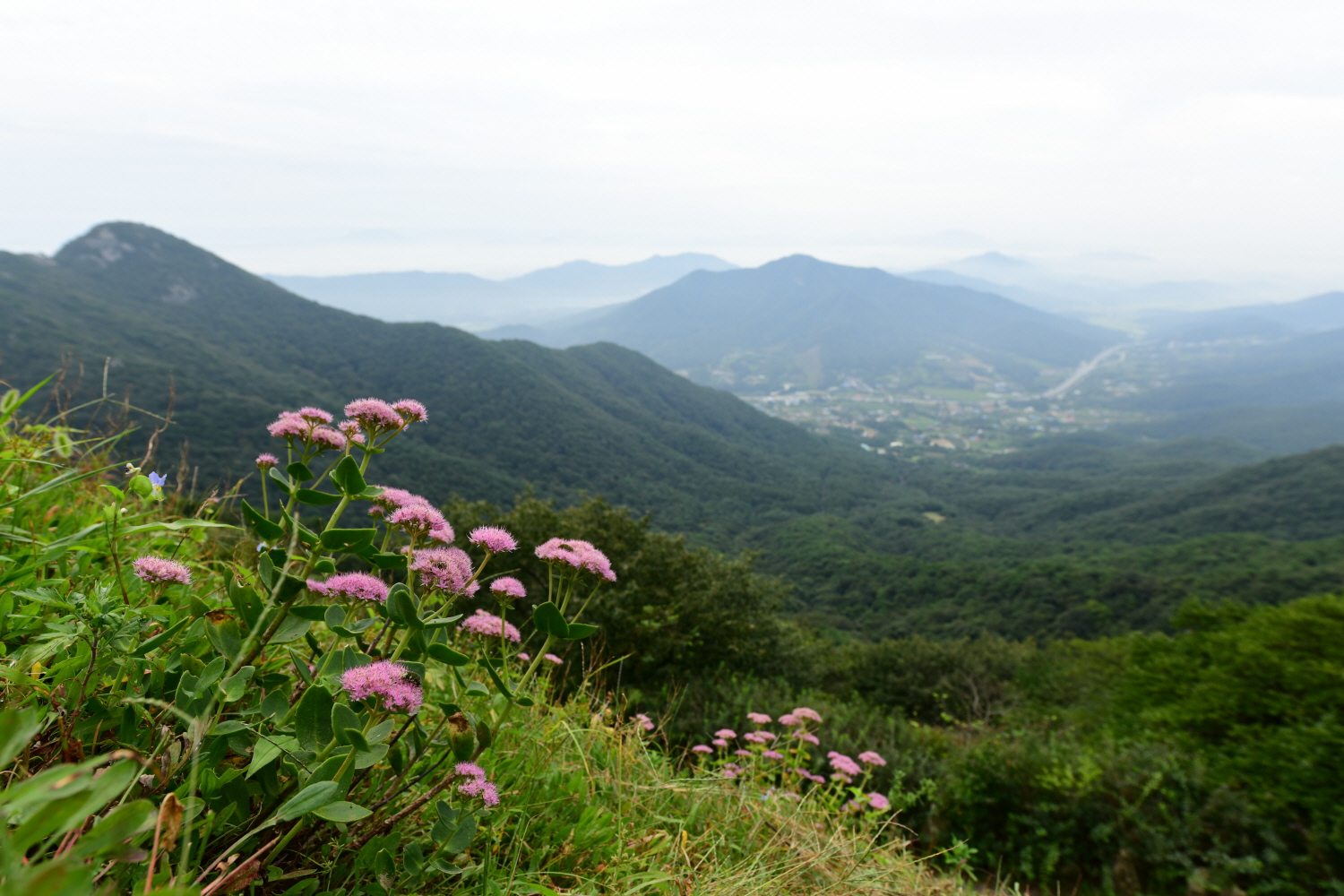 크기변환_DSC_5036.JPG