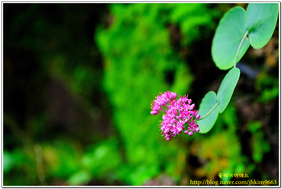 DSC_0519.jpg