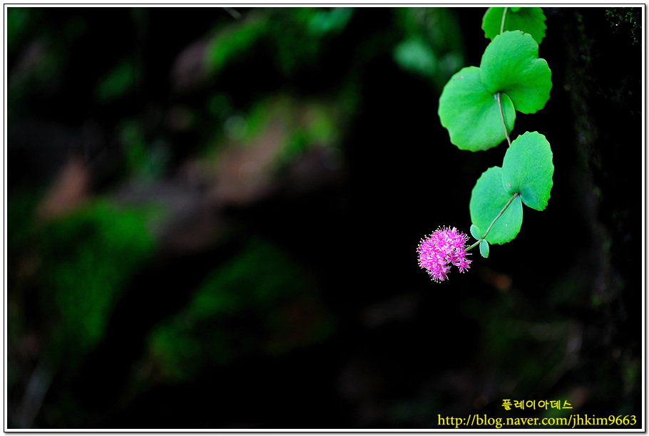 DSC_0665.jpg