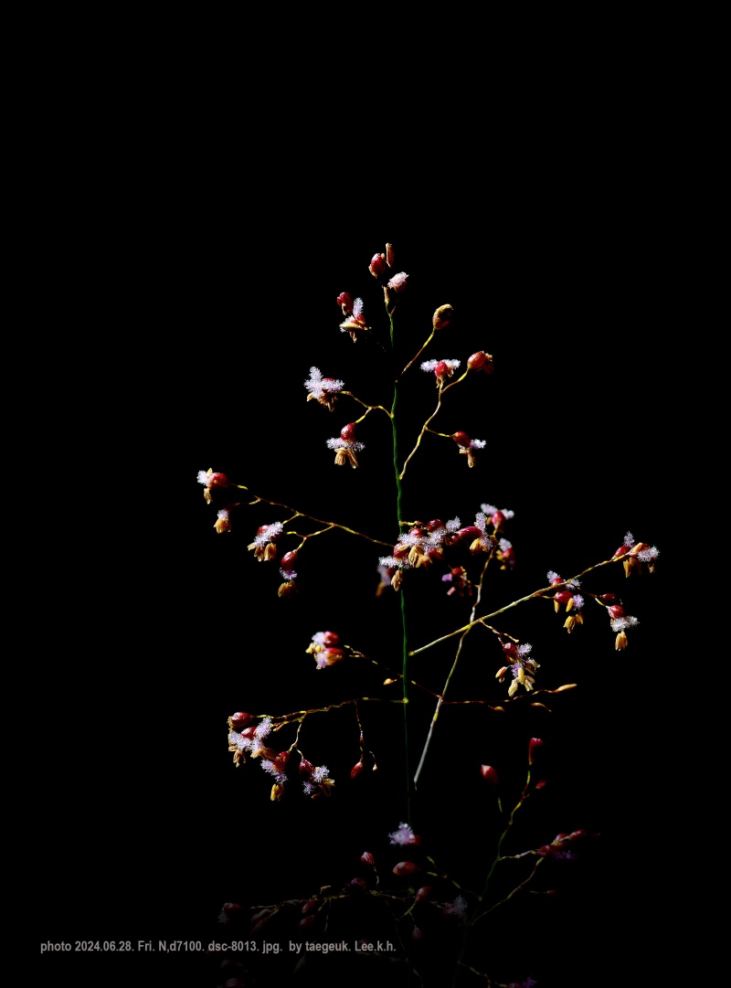 1719947164-90.jpg