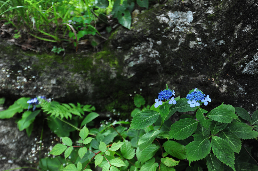 DSC_0569.jpg