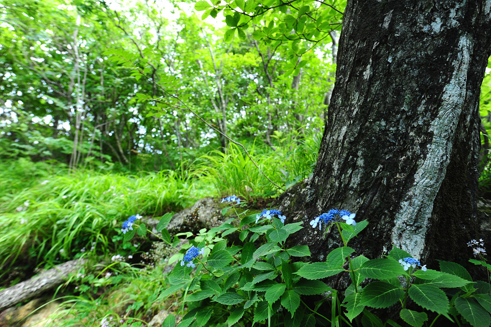 DSC_0644.jpg