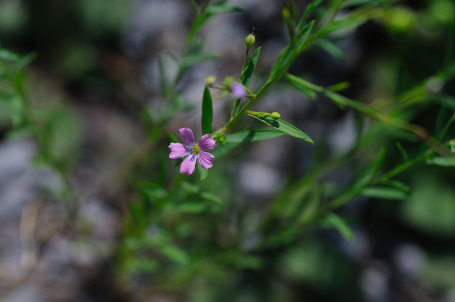 DSC_8913.JPG