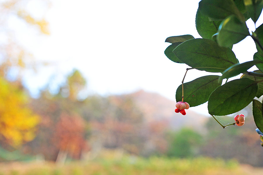 20111115_0038-1.jpg