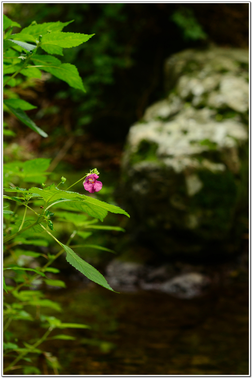 LJH_2167.JPG-1.jpg