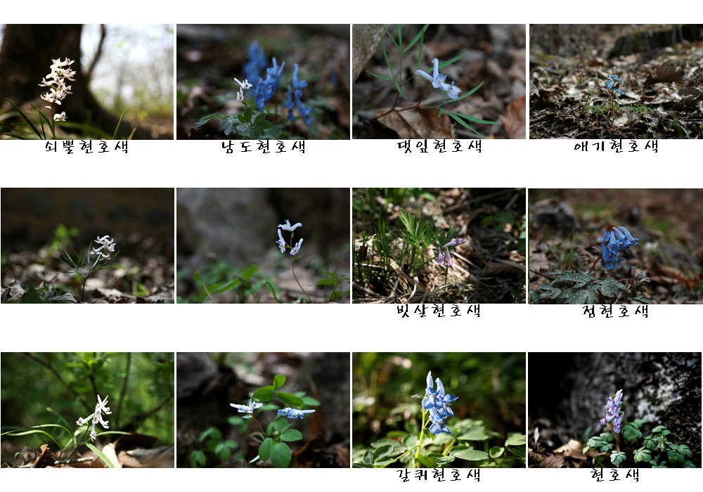 ContactSheet-001.gif