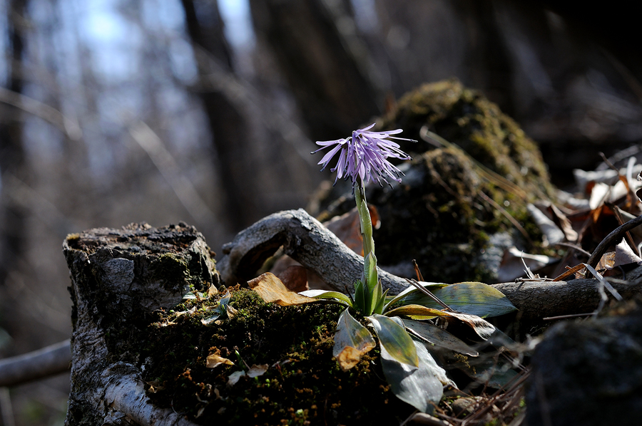 DSC_9948.jpg