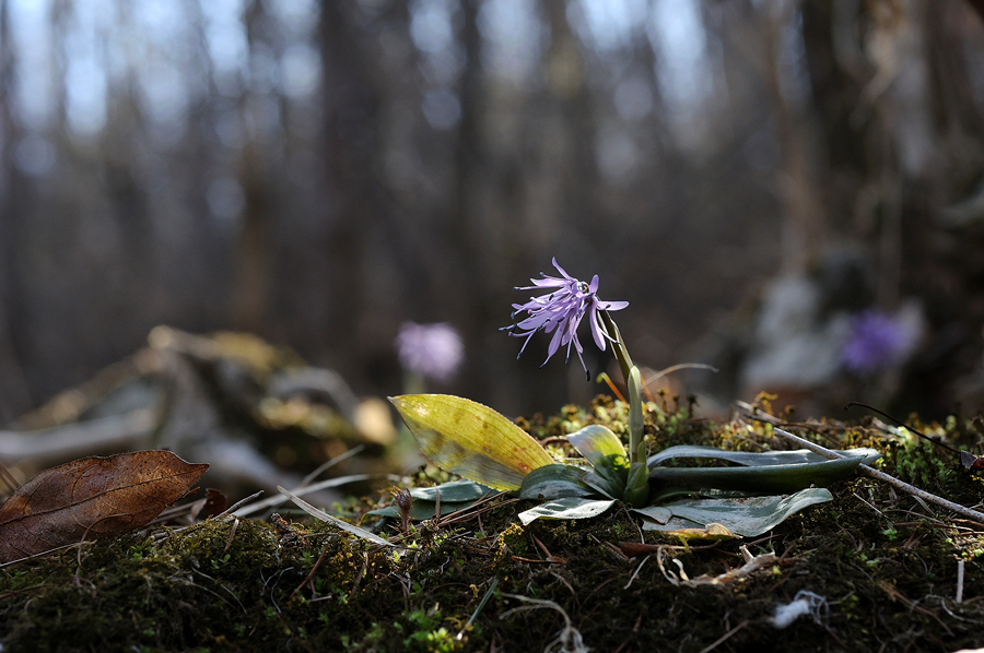 DSC_9953.jpg