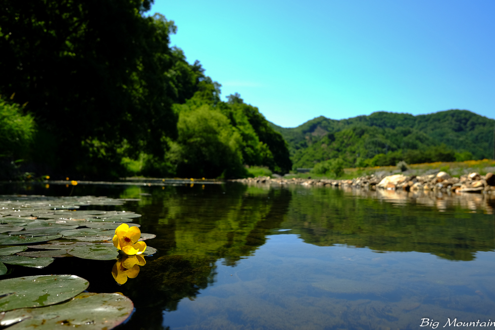 DSCF3311.jpg