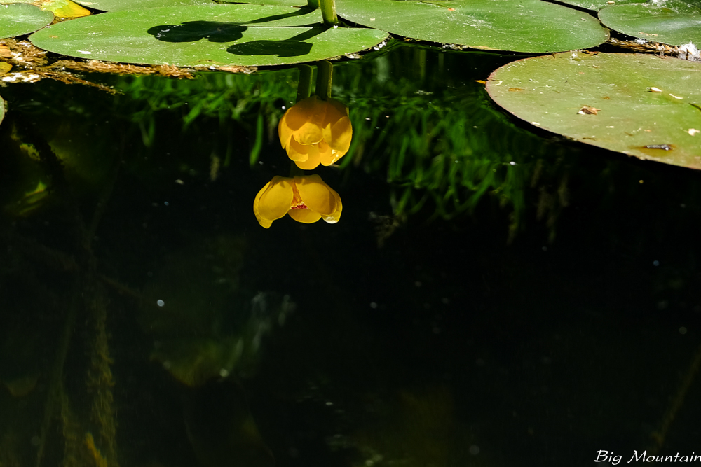 DSCF3302.jpg