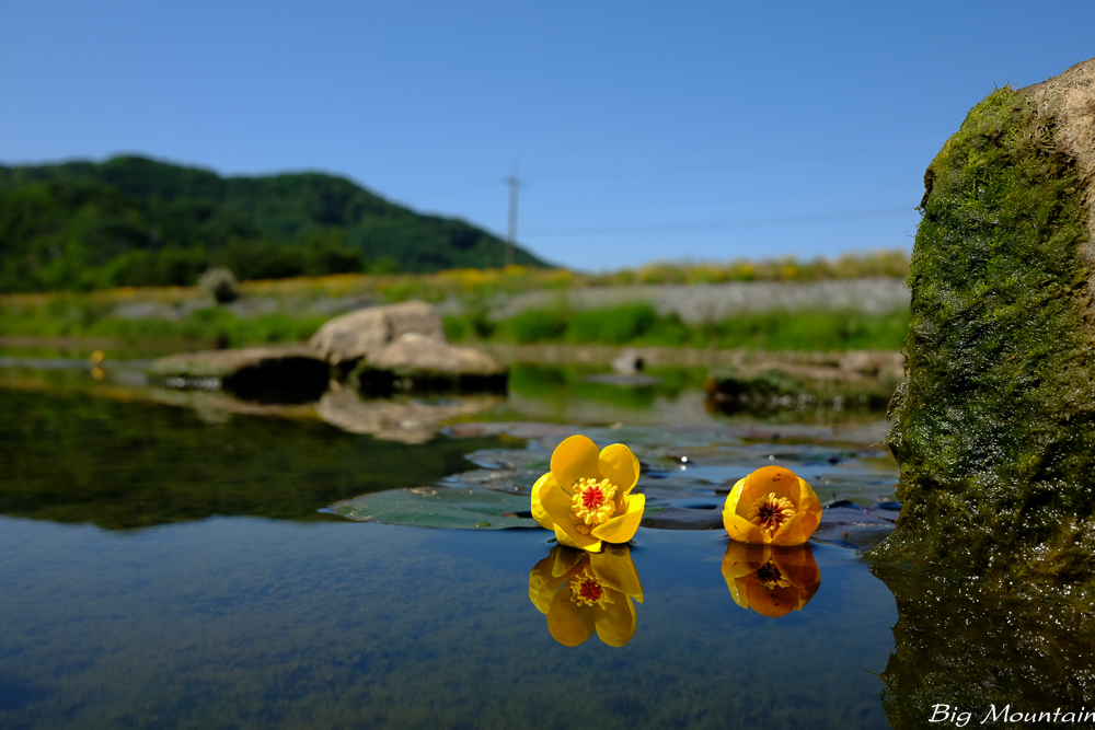 DSCF3261.jpg