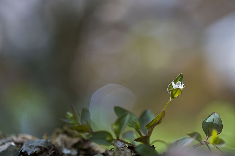 20130517_0148a-1.jpg