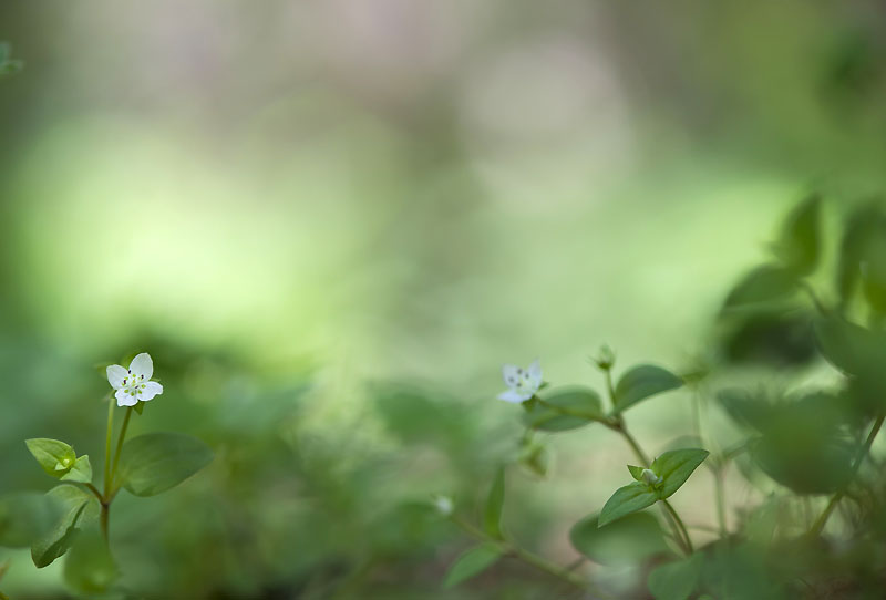 20130517_0205a-1.jpg