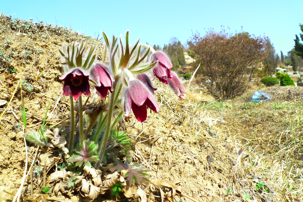 크기변환_L1200981.JPG