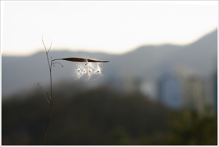 산해박씨방.jpg