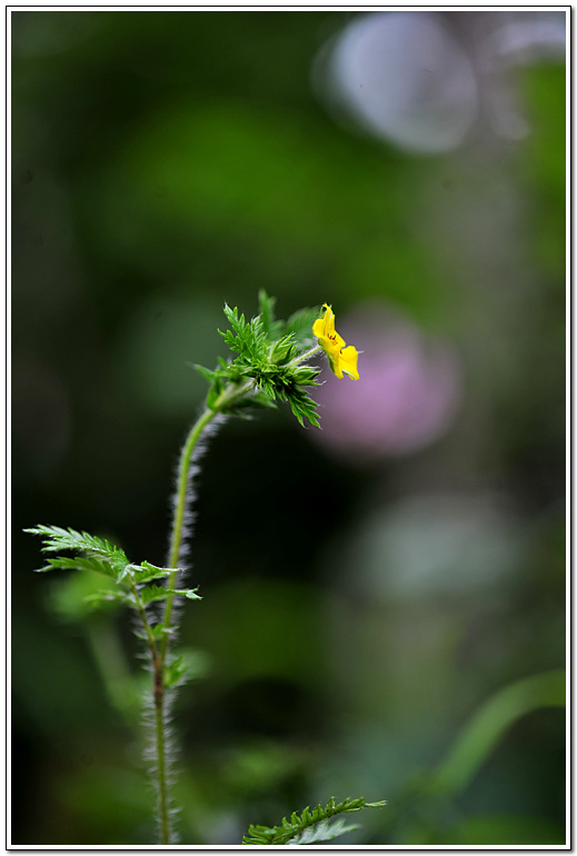 1-DSC_6131.jpg