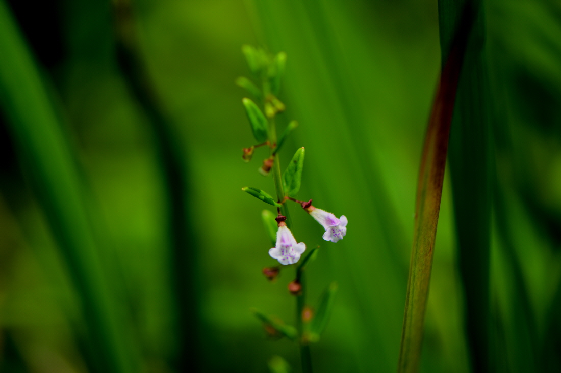 DSC_9835.JPG