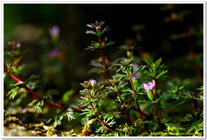 DSC_1367.jpg