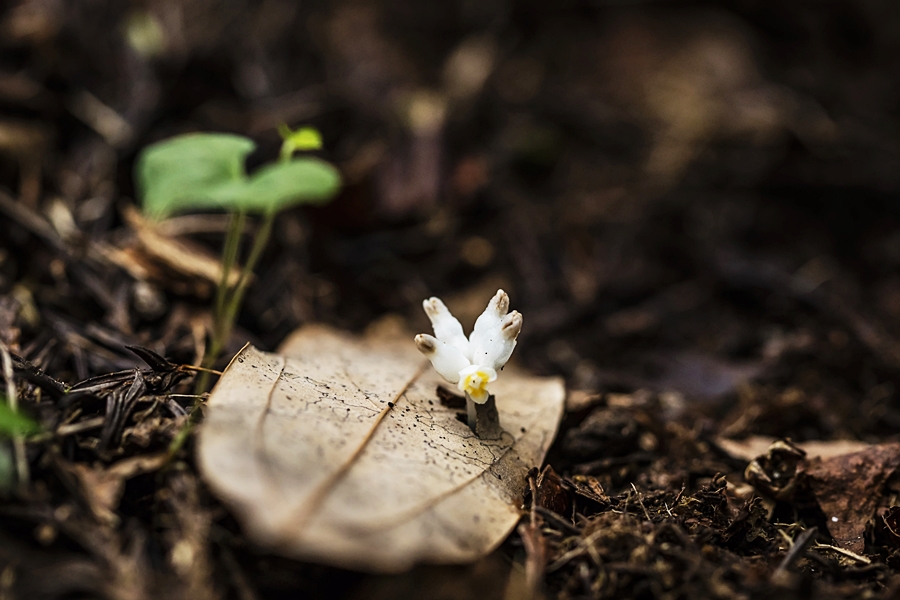 애기석장06.jpg