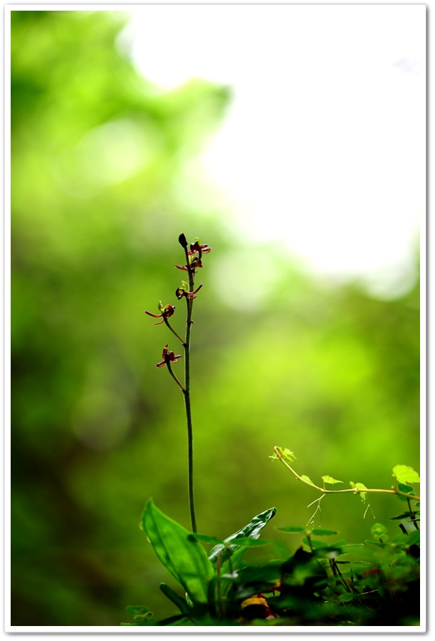 DSC_2791-1.jpg