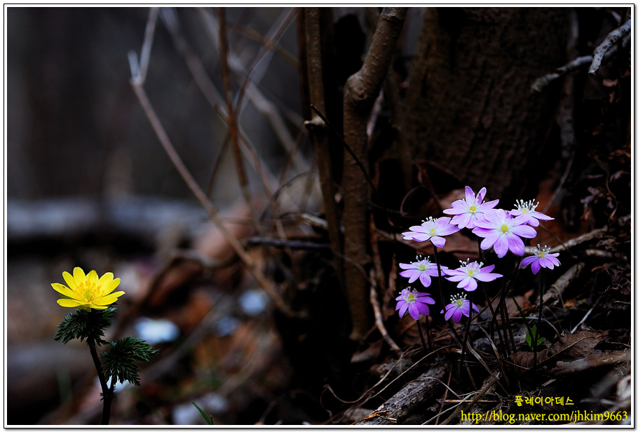 DSC_1458.jpg