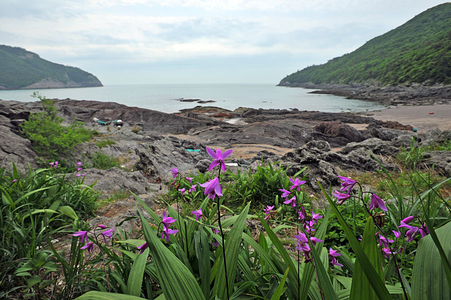 20110522_0026-1.jpg