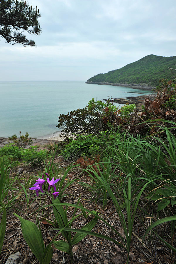 20110522_0017-1.jpg