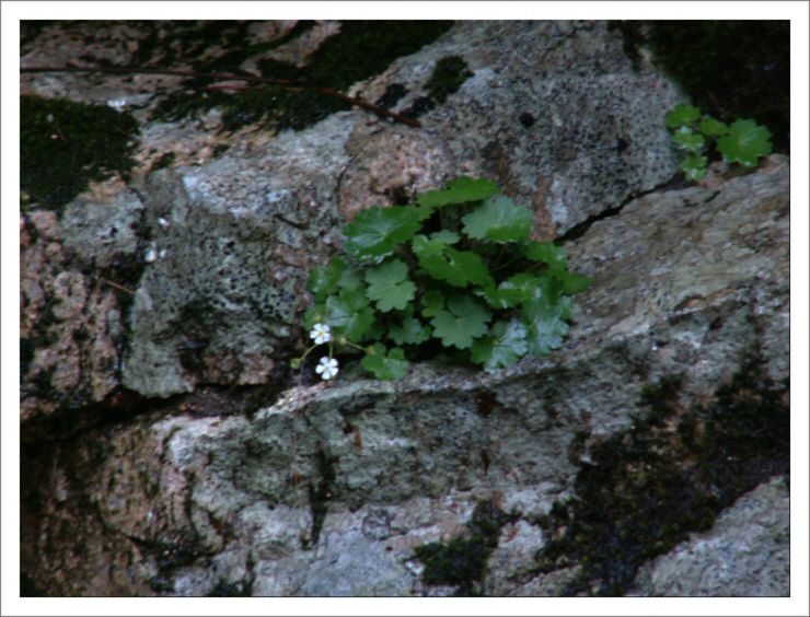 PICT0097.JPG