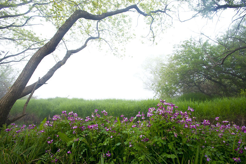 20130428_0130a-1.jpg
