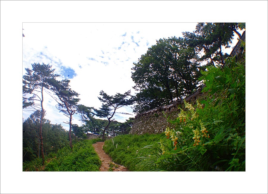 활량1.JPG