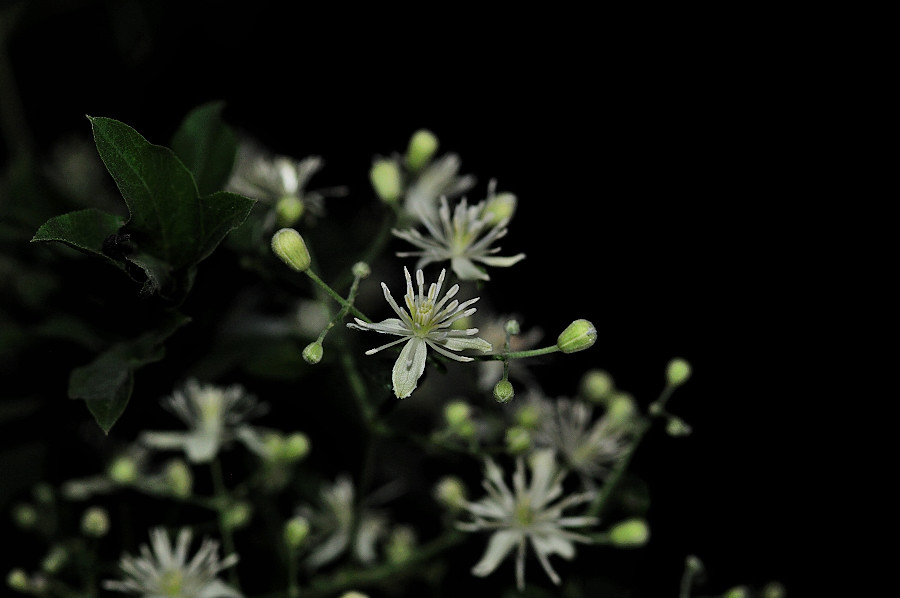 DSC_5053.JPG