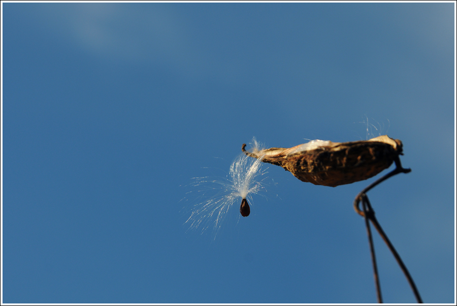 DSC_5125a.jpg
