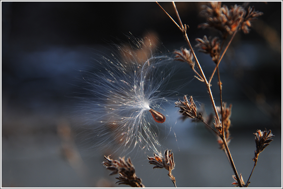 DSC_5120a.jpg