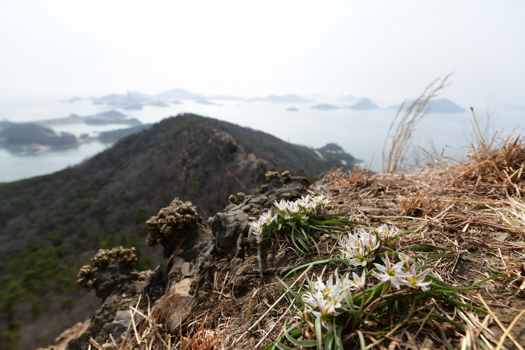크기변환_DSC_8082.JPG