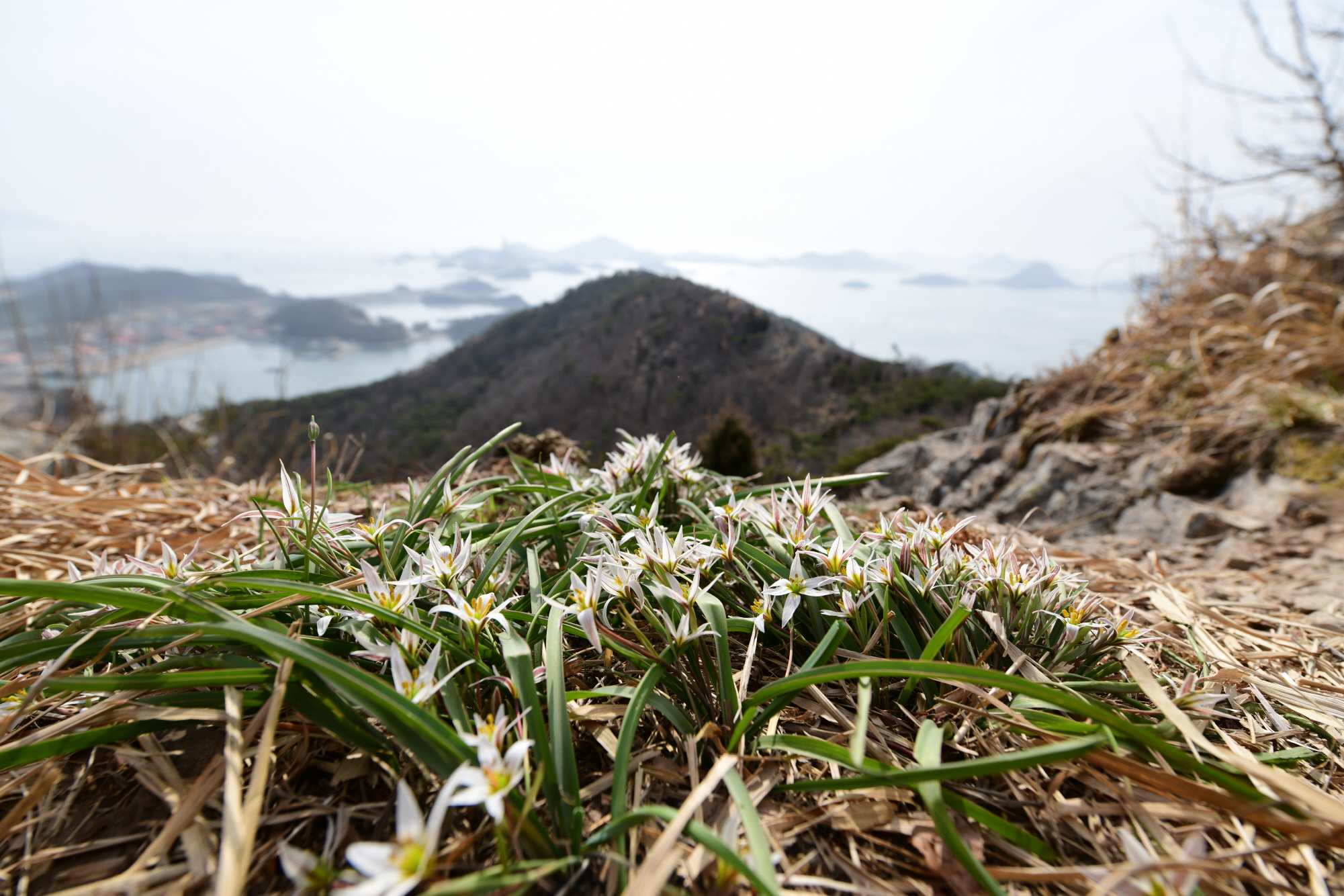 크기변환_DSC_8098.JPG