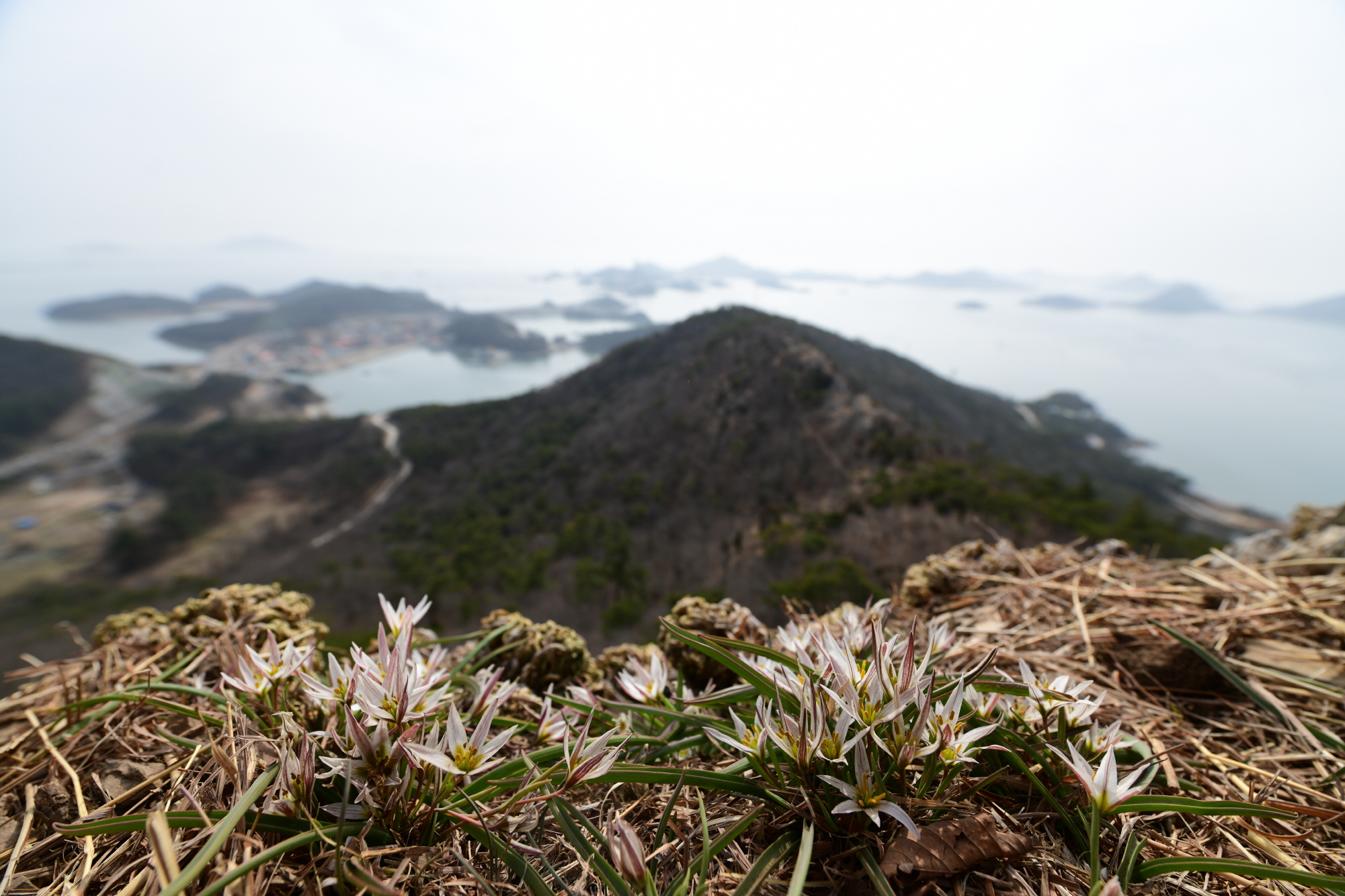 크기변환_DSC_8066.JPG