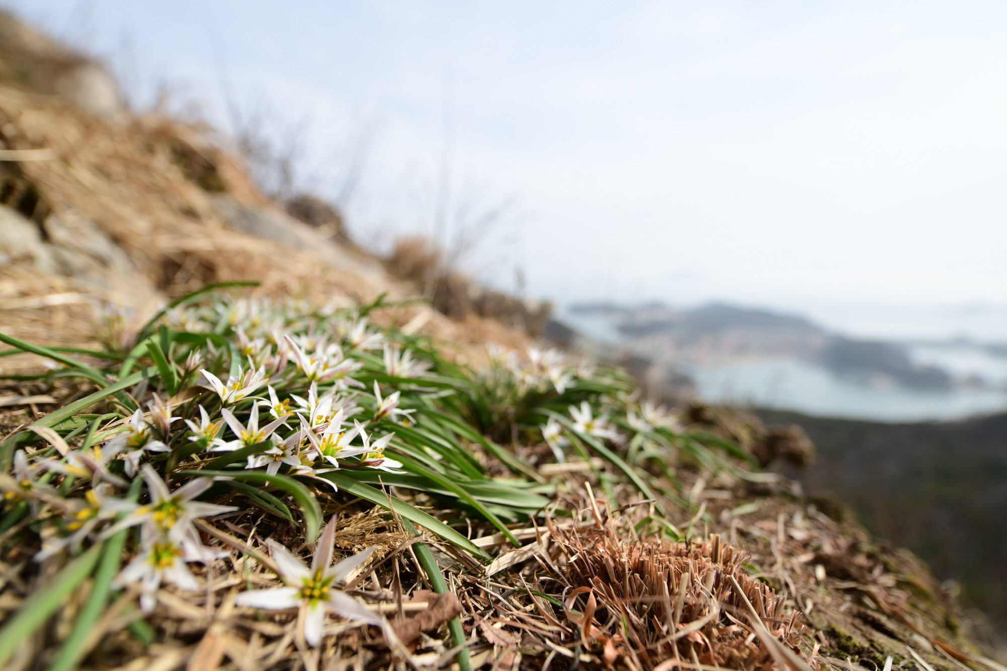 크기변환_DSC_8128.JPG