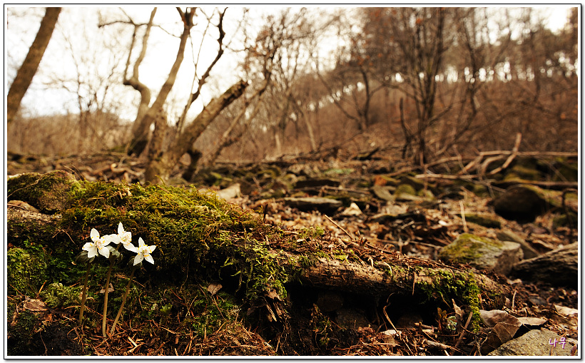 DSC_0150-1.jpg