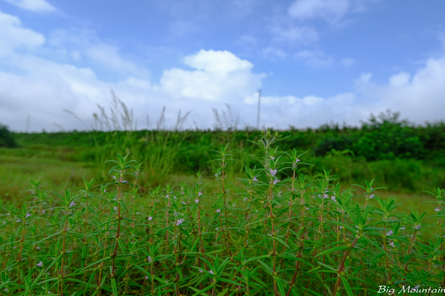 3130A5B8-CFCE-4424-8614-7DA10A942A96.jpeg