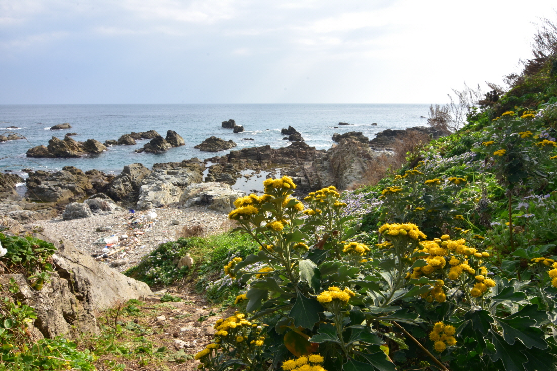 DSC_9443.JPG