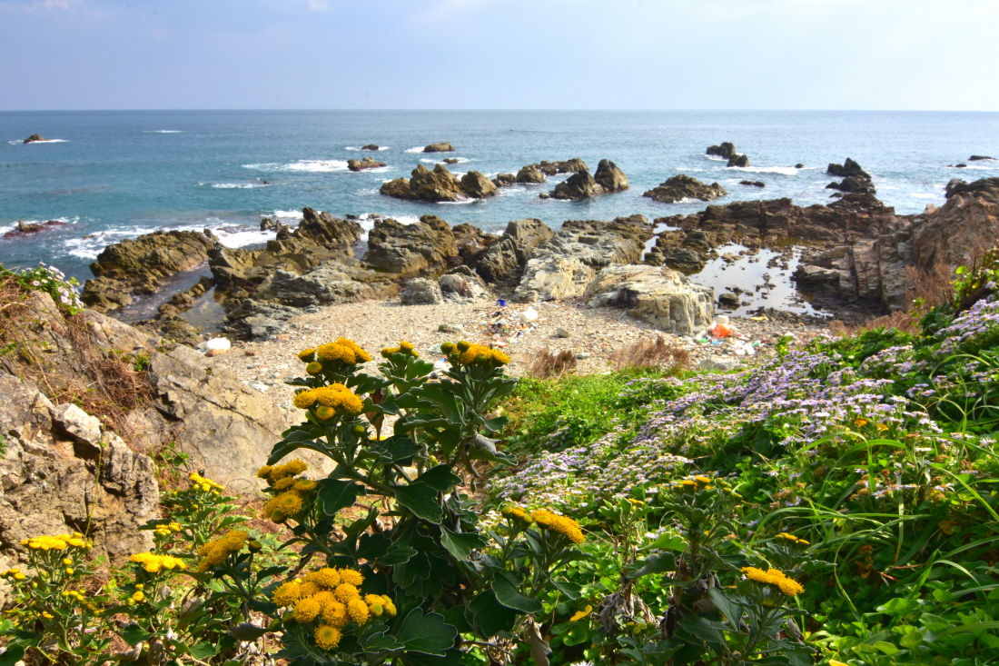 DSC_9432.JPG