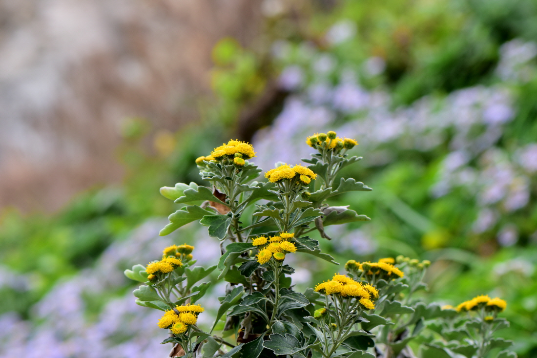 DSC_9453.JPG
