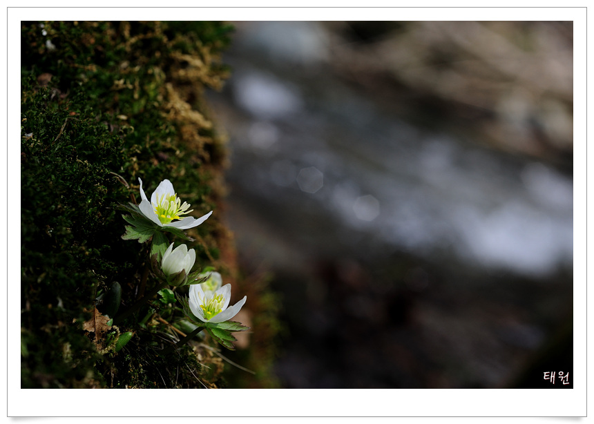 DSC_0253-1.jpg