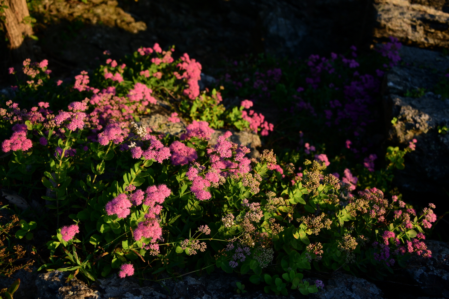 크기변환_DSC_6837.JPG