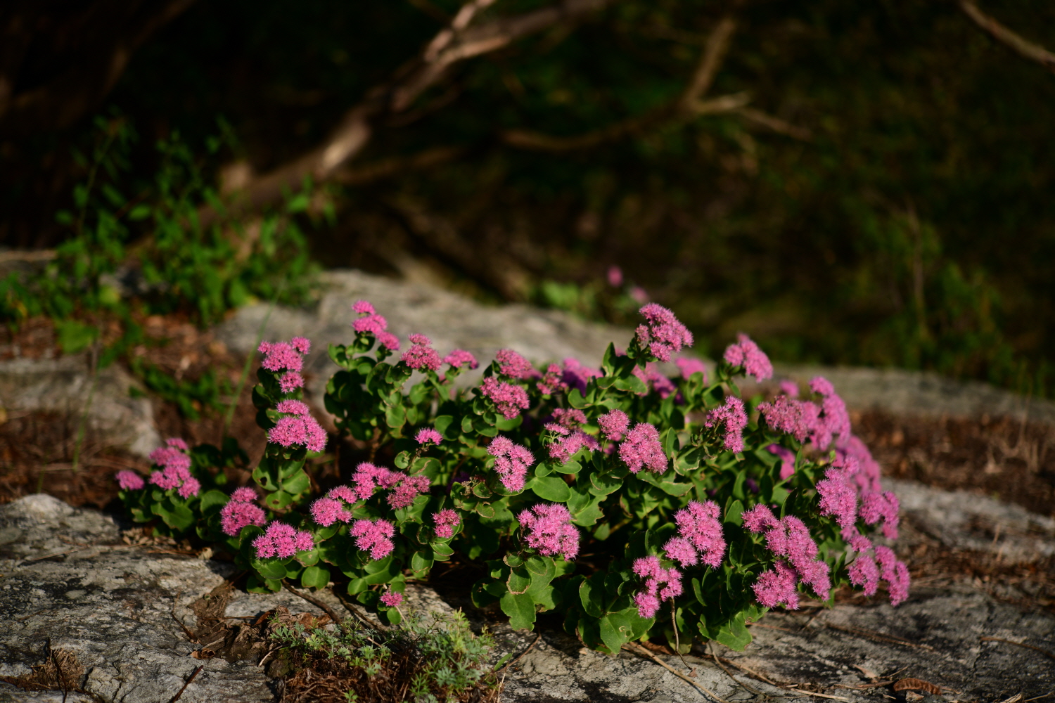 크기변환_DSC_6618.JPG