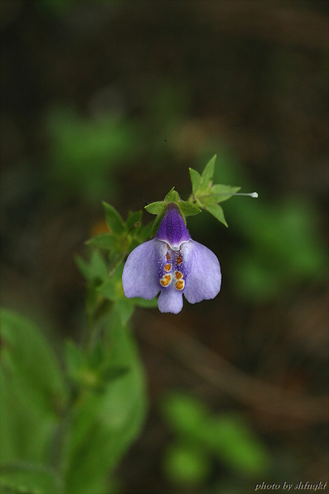 QH3S5338.jpg