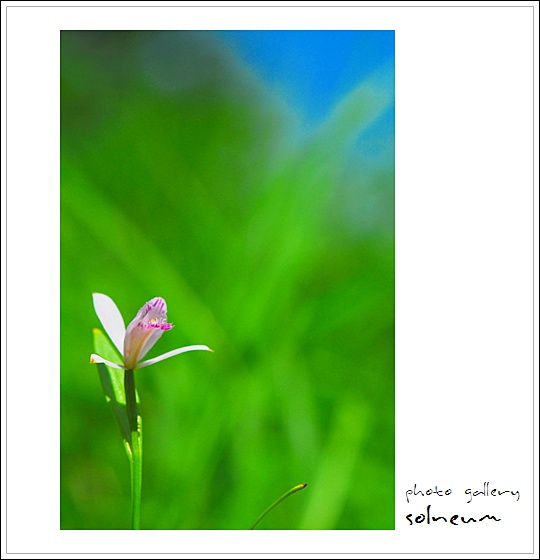 shinhyungsa(09-06-11) 800s.jpg